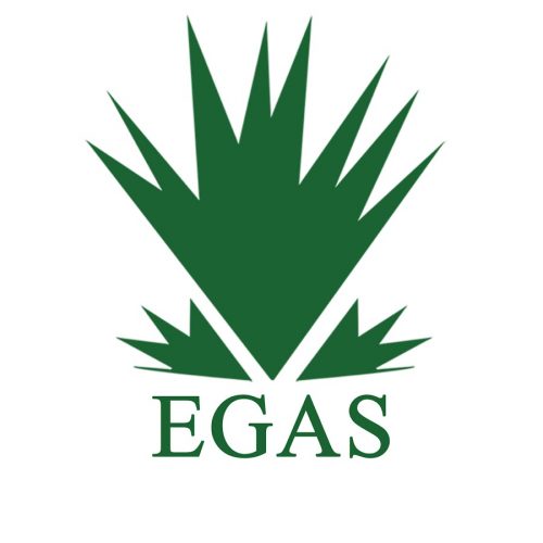 EGAS-3